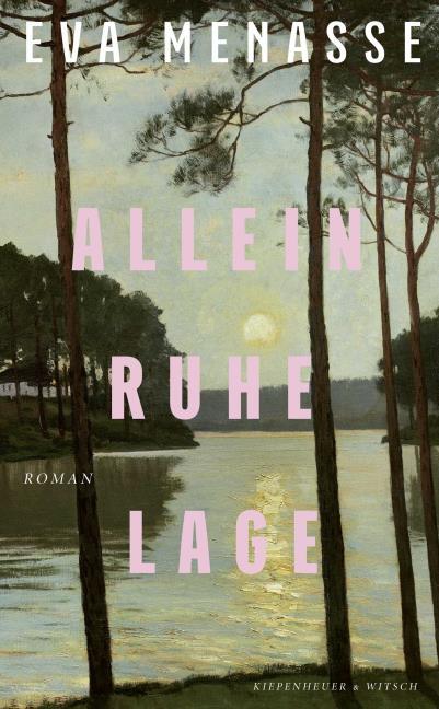 Buchcover "Alleinruhelage"